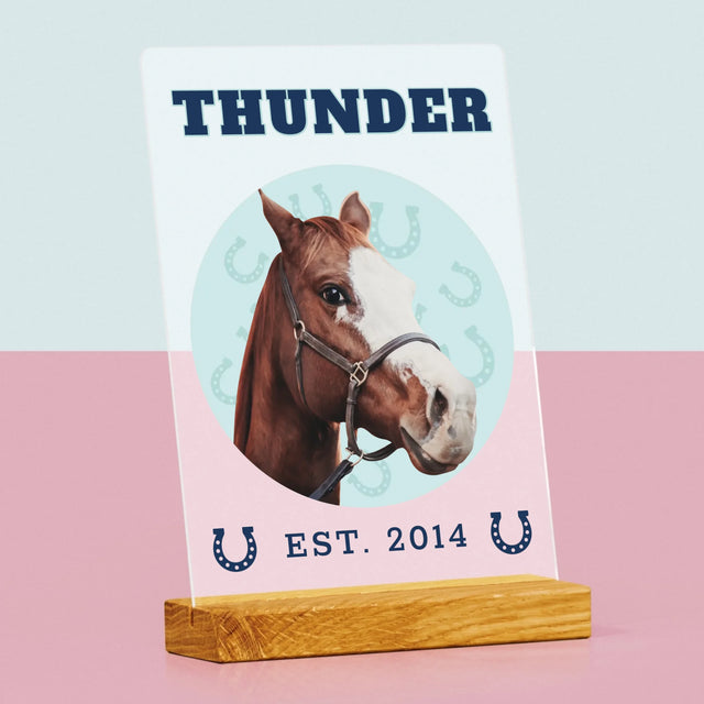 Ihr Avatar: Dein Uni-Pferd - Druck Auf Acrylglas