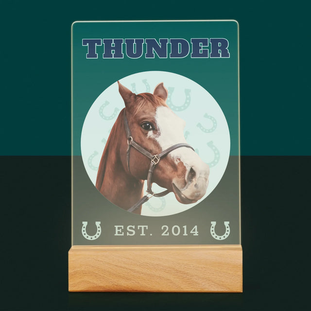 Ihr Avatar: Dein Uni-Pferd - Druck Auf Acrylglas