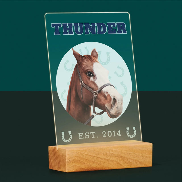 Ihr Avatar: Dein Uni-Pferd - Druck Auf Acrylglas