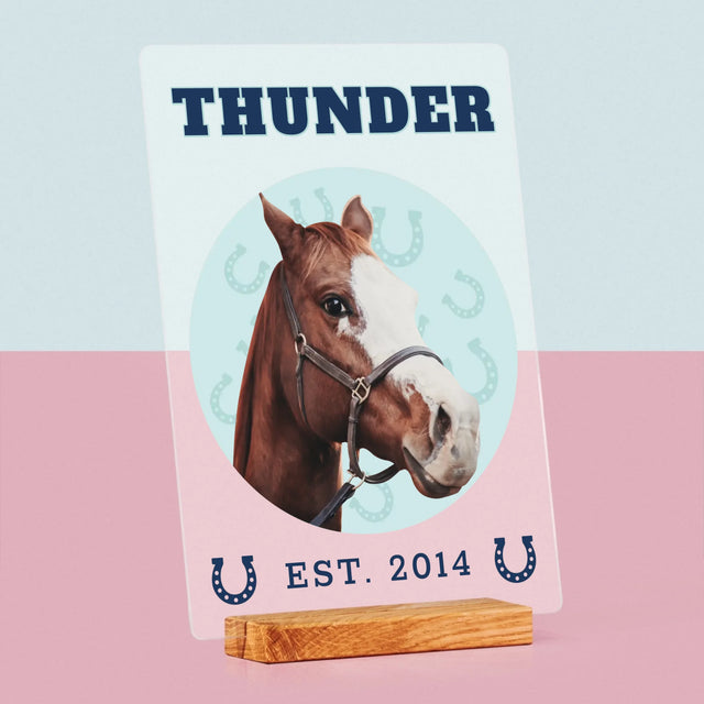 Ihr Avatar: Dein Uni-Pferd - Druck Auf Acrylglas