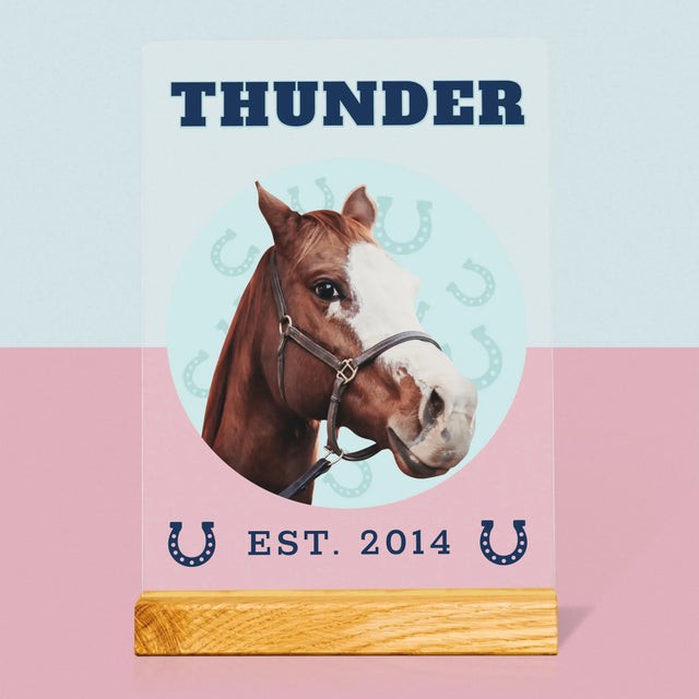 Ihr Avatar: Dein Uni-Pferd - Druck Auf Acrylglas