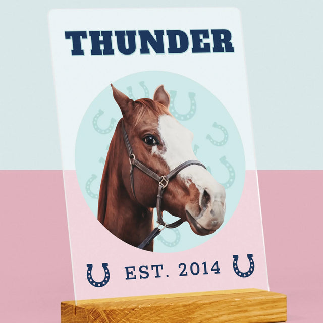 Ihr Avatar: Dein Uni-Pferd - Druck Auf Acrylglas