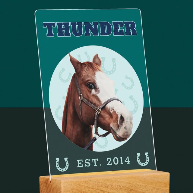 Ihr Avatar: Dein Uni-Pferd - Druck Auf Acrylglas