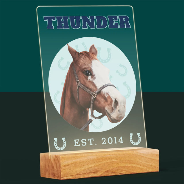 Ihr Avatar: Dein Uni-Pferd - Druck Auf Acrylglas